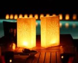 Candle Lantern Bags (10 Pack)