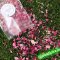 Dried Rose Petals Biodegradable Confetti